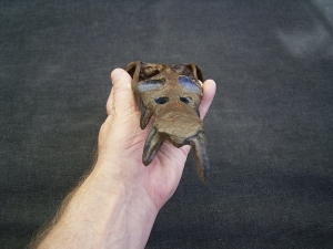 Nothosaurus Schaedel Reproduktion