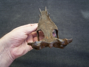 Nothosaurus Schaedel Reproduktion