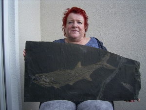 Pygopterus-Raubfisch aus dem Deutschen Kupferschiefer