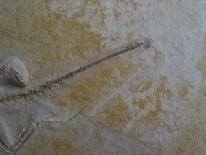 Brückenechse aus Eichstaett