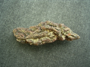 Reptilien Coprolith