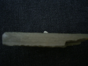 Haizahn Lebachacanthus pollichiae