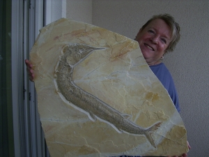 Schnabelfisch Aspidorhynchus