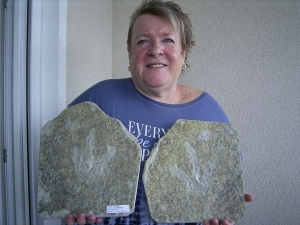 Dinosaurier Faehrte