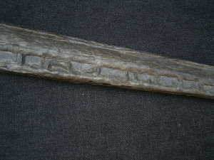 Steneosaurus Schaedel