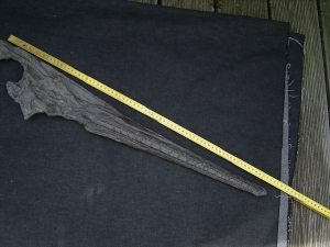 Steneosaurus Schaedel