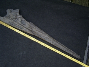 Steneosaurus Schaedel