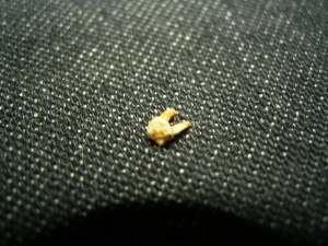 Primate tooth Necrolemur