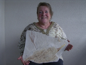 Hai-Eier Palaeoxyris Nest