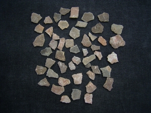 Dinosaurier Eier-Schalen