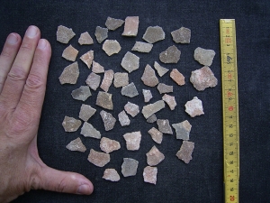 Dinosaurier Eier-Schalen