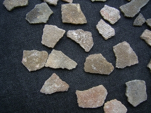 Dinosaurier Eier-Schalen