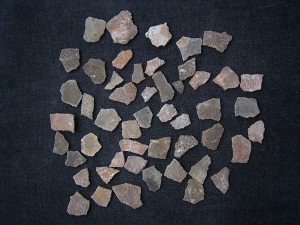 Dinosaurier Eier-Schalen