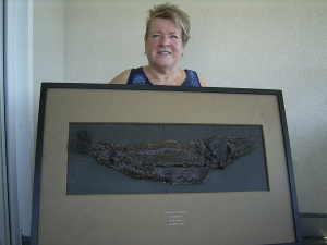 Riesiger Knochenhecht aus der Grube Messel