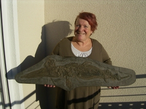 Ichthyosaurus Baby Skelett