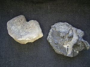 Mastodonsaurus Wirbel und Schaedelteil