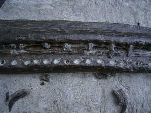 Steneosaur jaw