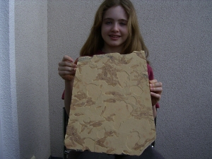 Fisch Schwarm Gosiutichthys parvus