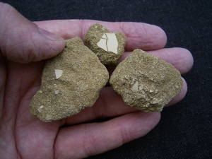 Wasservogel Eierschalen Mioquerquedula