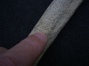 Cro Magnon Femurknochen