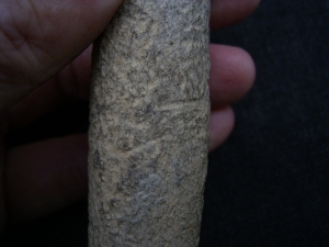 Cro Magnon Femurknochen