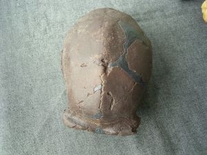 Homo Erectus von Zhoukoudian, Peking, China