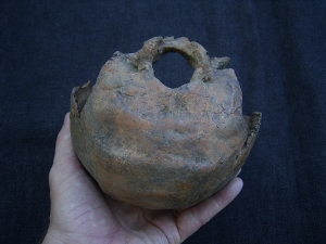 Hinterkopf des Ante-Neanderthalers von Swanscombe, England