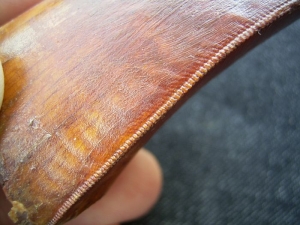 Tyrannosaurus Rex Zahn