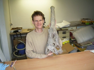 Phytosaurus Schädel aus dem Keuper