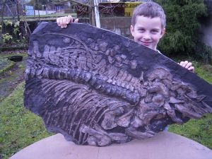 Ichthyosaurus-Teilskelett aus Holzmaden