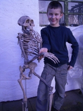 Komplett-Skelett von Lucy