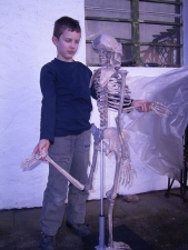 Komplett-Skelett von Lucy