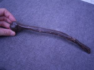 Verkrüppelter Oberarm vom Neanderthaler