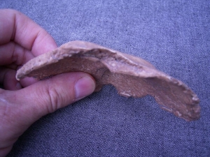 Homo Neanderthalensis Sarstedt II