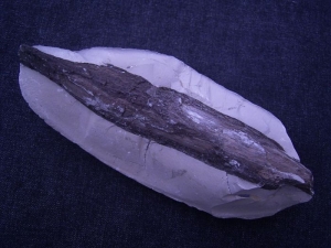 Fossil wood in nodule from Germany