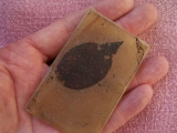 Blatt aus Messel