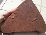 Arthropoden Fährten, Buntsandstein