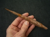 Haistachel Hybodus