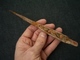 Haistachel Hybodus