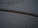 Flugsaurier Flügel Rhamphorhynchus