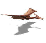 Flugsaurierzahn Sirrocopteryx