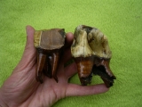 Rhinoceros Zähne - Coelodonta antiquitatis