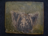 Bird from Messel pit