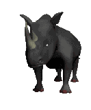 Wollhaar-Nashorn Fußknochen Coelodonta antiquitatis # 2