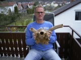 Riesenhisch Schädelteil