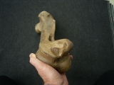 Wild-horse Equus femur bone