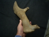 Riesenhirsch Abwurfstange Megaloceros
