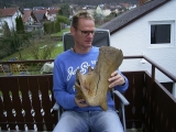 Wollhaar-Nashorn Hinterhaupt Coelodonta antiquitatis