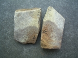 Schlangenstern, Dänemark