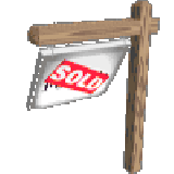 Leguan Anolis in Kopal